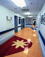 Timberline vinyl sheet flooring