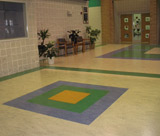 Forbo Elementary Linoleum Flooring