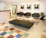 Armstrong's Migrations Floor Tile