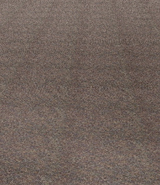 Phoenix Carpet by Continental Flooring Company
