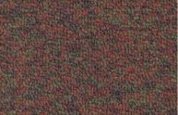 Agave* Agave-Shaw-Carpets