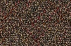 Yuma-shaw-carpets