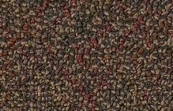 Yuma* Yuma-shaw-carpets