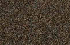 Diamondback Broadloom Carpet Tile