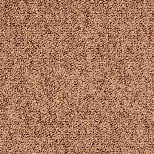 Continental Carpet Collection-Palomino II TARR Rated 24" x 24" Carpet Tile Various Color Selections *As low as $18.37 / SY 