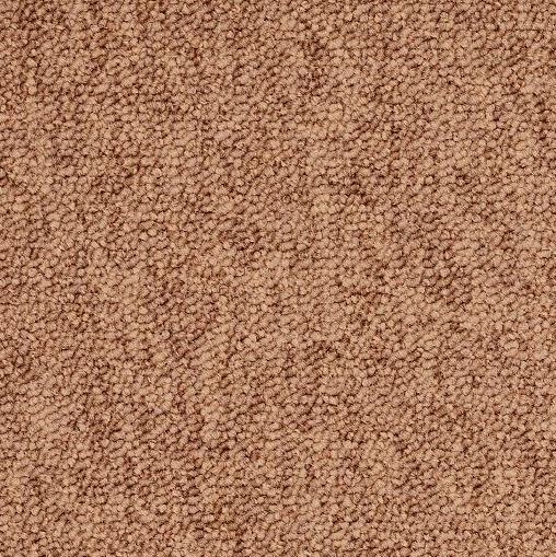 Continental Carpet Collection-Palomino II TARR Rated 24" x 24" Carpet Tile Various Color Selections *As low as $18.37 / SY