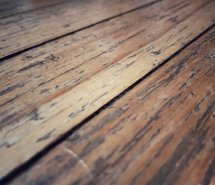 moisture damaged wood floor