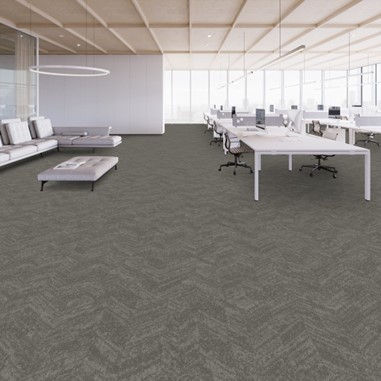 Shaw Contract Carpet Tile Flooring Scene
