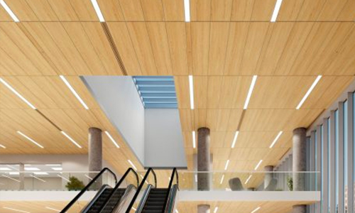 Sustainable Government Ceilings