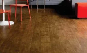 Continental Ironwood Luxury Vinyl Tile on GSA and Cooperative Contract